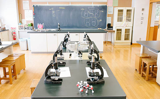 20 Top-Rated Tourist Attractions in Manhattan